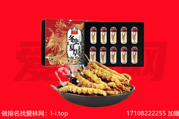 灵璧县回收虫草.jpg